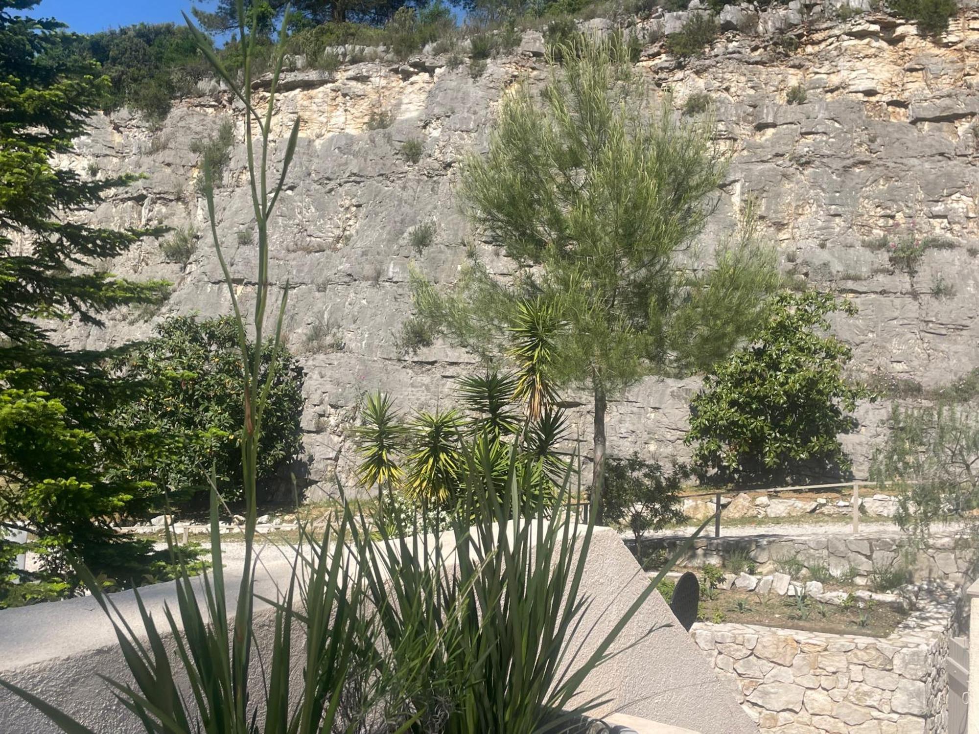 La Villa Des Carriers- Maison Avec Piscine Proche Mer Roquefort-les-Pins Exterior foto